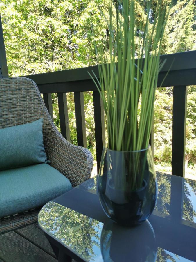 Country-Suites By Verdino Living - Apartments & Suites (Adults Only) Braunlage Bagian luar foto